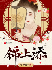 锦上添章节列表