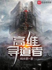 高维寻道者章节列表