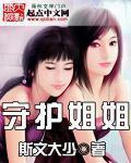 守护姐姐章节列表