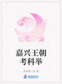 嘉兴王朝考科举章节列表