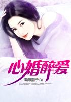 心婚醉爱章节列表