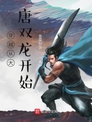 穿越从大唐双龙开始章节列表