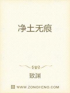 净土无痕章节列表