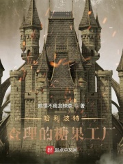 哈利波特：查理的糖果工厂章节列表