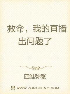 救命，我的直播出问题了！章节列表