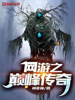 网游之巅峰传奇章节列表