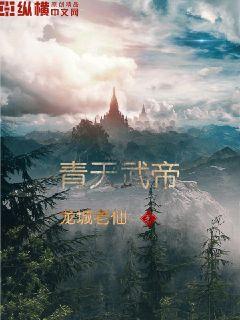 青天武帝章节列表