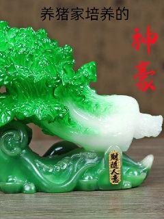 养猪家培养的神豪章节列表