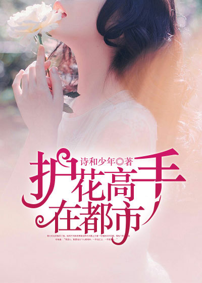 护花高手在都市章节列表