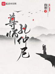 尊师孔仲尼章节列表