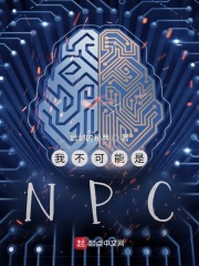 我不可能是NPC章节列表