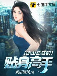 冰山总裁的贴身高手章节列表