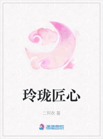 玲珑匠心章节列表
