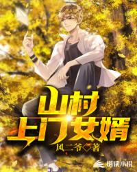 山村上门女婿章节列表