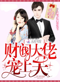 财阀大佬，宠上天章节列表