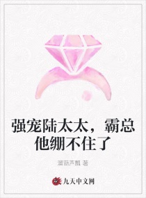 强宠陆太太，霸总他绷不住了章节列表