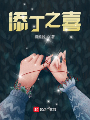 添丁之喜章节列表