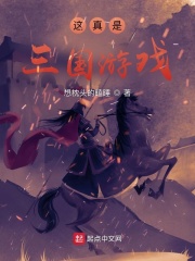 这真是三国游戏章节列表