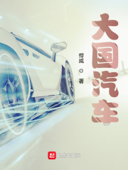 大国汽车章节列表