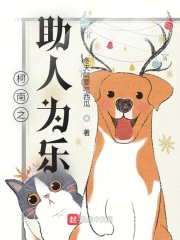 柯南之助人为乐章节列表