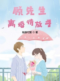 顾先生，离婚请放手章节列表