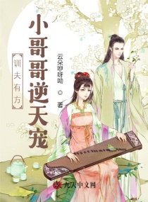 训夫有方：小哥哥逆天宠章节列表