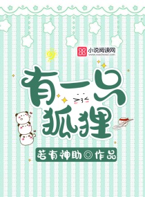 有一只狐狸章节列表