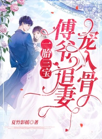 一胎三宝：傅爷，追妻宠入骨章节列表
