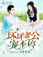 坏坏老公，宠不停！章节列表