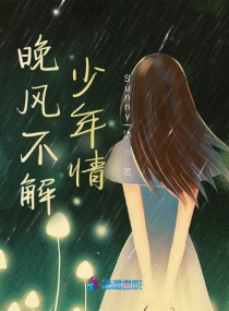 晚风不解少年情章节列表