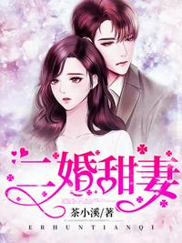二婚甜妻章节列表