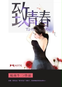 致青春章节列表