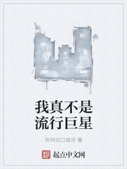 我真不是流行巨星章节列表