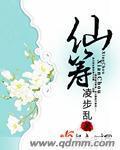 仙筹章节列表