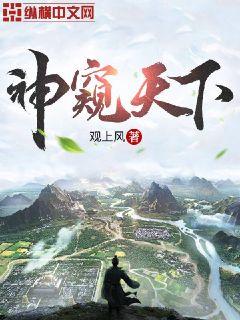 神窥天下章节列表