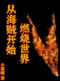 从海贼开始燃烧世界章节列表