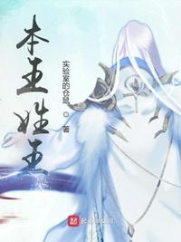 本王姓王章节列表