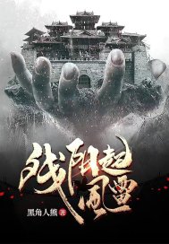 残阳起风雷章节列表