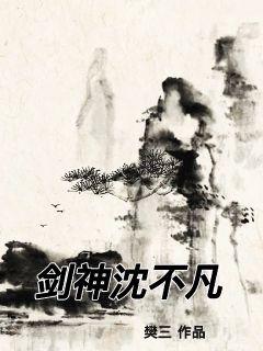 剑神沈不凡章节列表