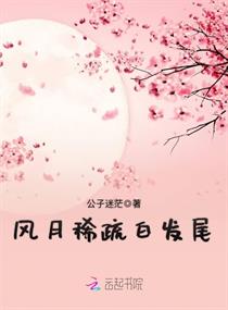 风月稀疏白发尾章节列表