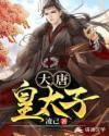 大唐皇太子章节列表
