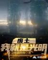 废土：我就是光明章节列表
