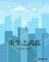 重生之武乱章节列表