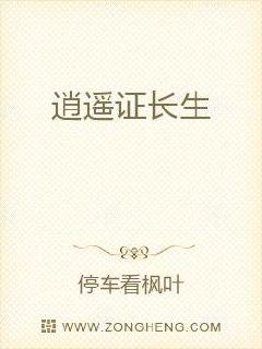逍遥证长生章节列表