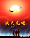 战火龙魂章节列表