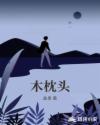 木枕头章节列表