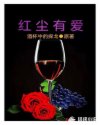 红尘有爱章节列表