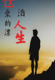 沧桑的漂泊人生章节列表