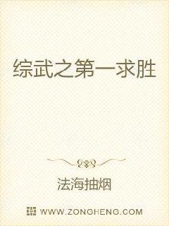 综武之第一求胜章节列表