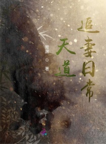 天道追妻日常章节列表